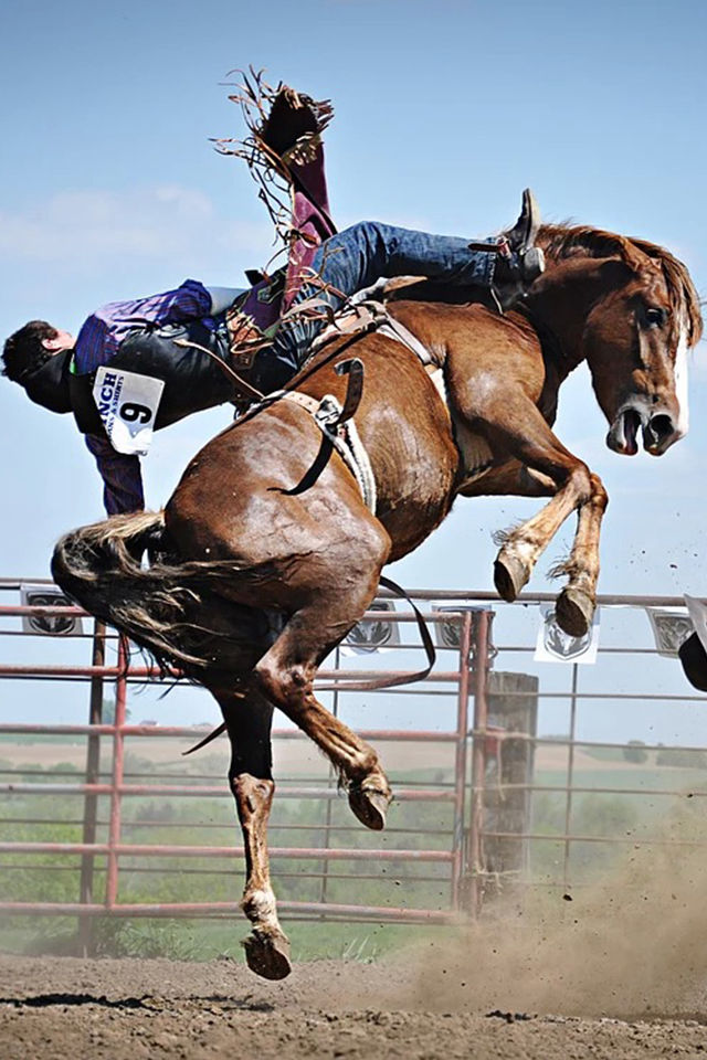 Three Hills Rodeo